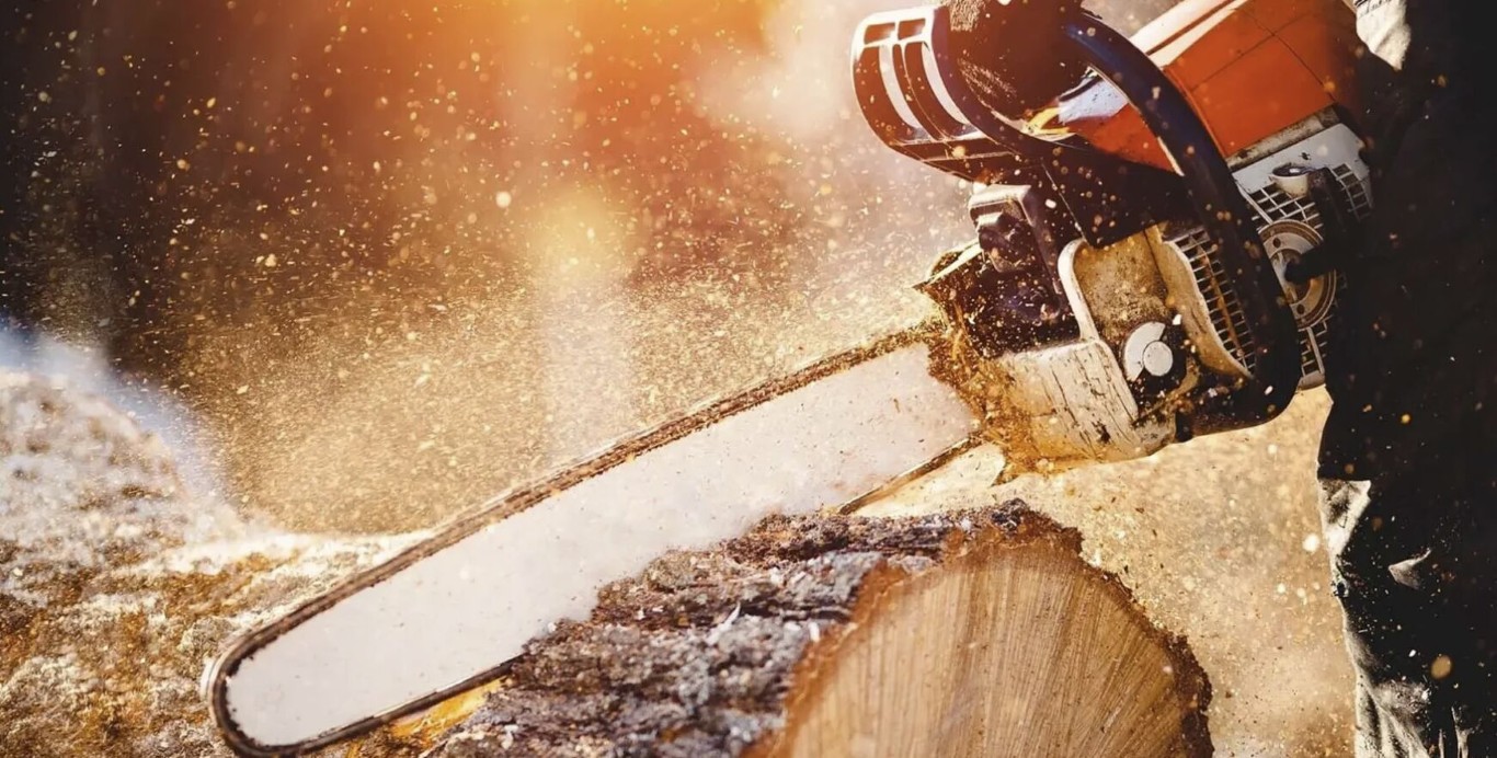 Certified arborist using professional equipment in Waterloo, IA